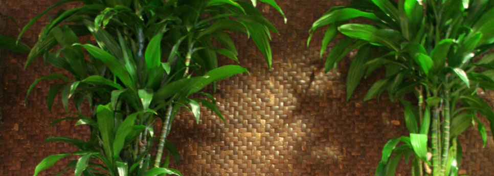 Coconut wall panels